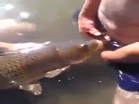 Animal xxx fish giving blowjob